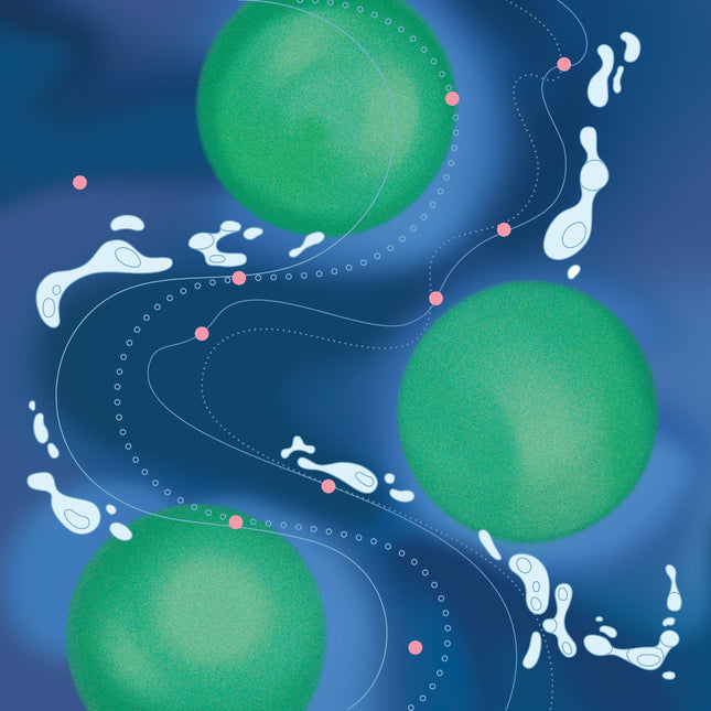 AVAD - 1st Album [Archipelago]