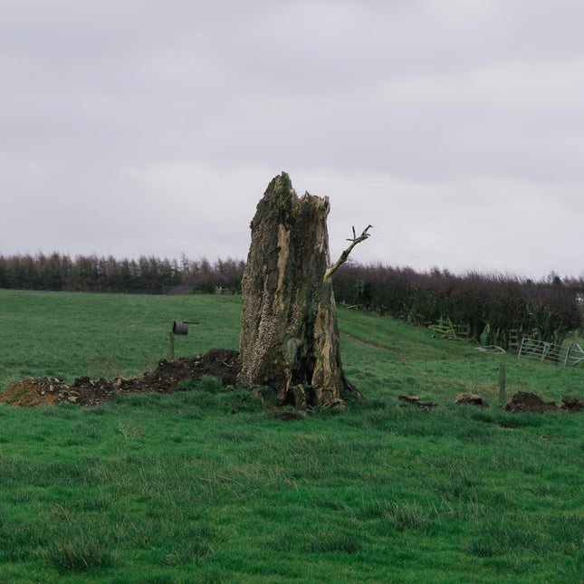 After Thoughts - [Vermin of Mind]