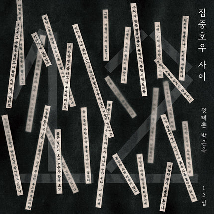 Chong Taechoon, Park Eunok - 12th Album [집중호우 사이] LP