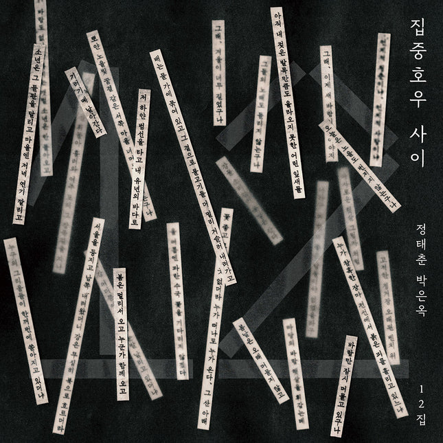 Chong Taechoon, Park Eunok - 12th Album [집중호우 사이] LP
