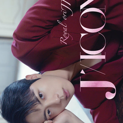 DICON VOLUME N°24 JIN TYPE B