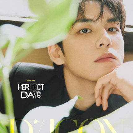 DICON VOLUME N°27 PERFECT DAY6 - Cover : DAY6 WONPIL TYPE B