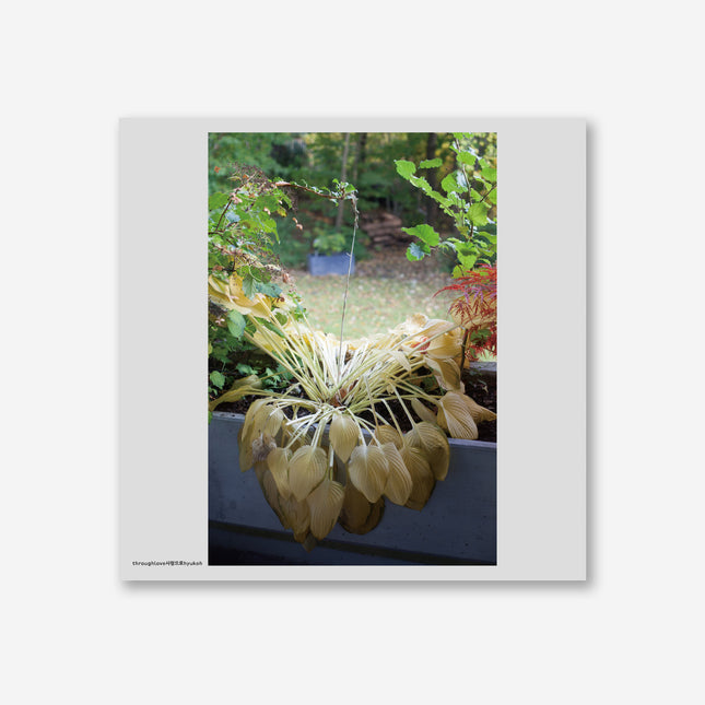 HYUKOH - [사랑으로] LP