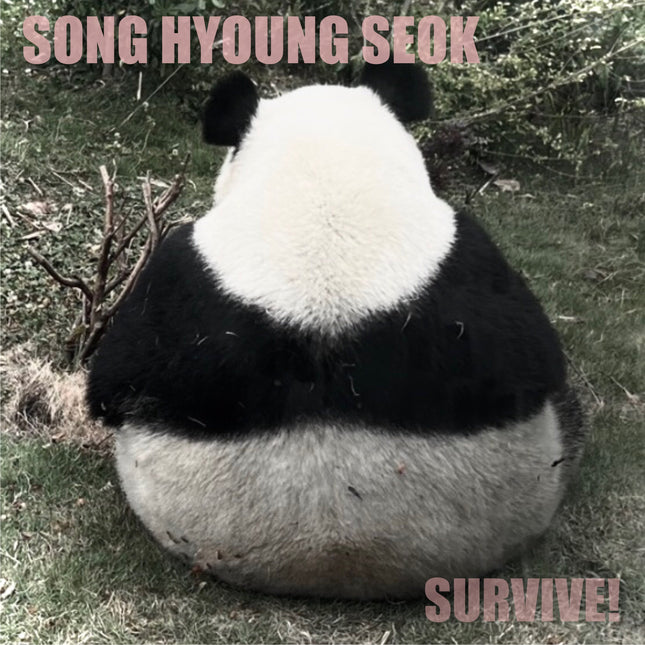 SONG HYOUNG SEOK - 1st Album [SURVIVE]