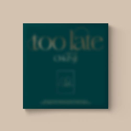 CHUNJI - 1ST SINGLE ALBUM [TOO LATE] Kpop Album - Kpop Wholesale | Seoufly