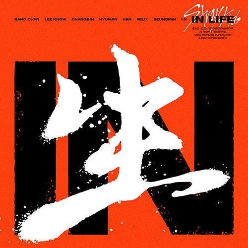 Stray Kids - IN生 (IN LIFE) REPACKAGE [1ST ALBUM] STANDARD Ver. Kpop Album - Kpop Wholesale | Seoufly