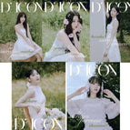 SET (5 Versions)